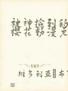 被神捡到的男人樱花动漫免费观看