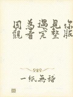 因为遇见你免费观看完整版在线全集