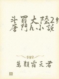 斗罗大陆2绝世唐门h小说