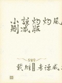 小说灼灼风流未删减版