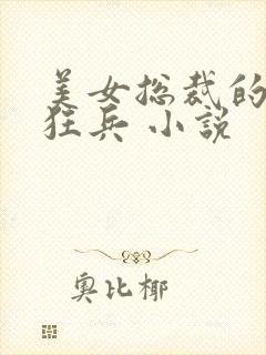 美女总裁的极品狂兵 小说封面