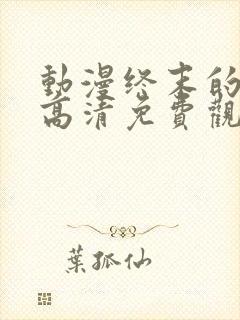 动漫终末的后宫高清免费观看