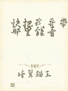 快把我哥带走在哪里能看