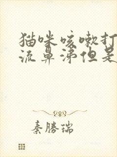 猫咪咳嗽打喷嚏流鼻涕但是精神很好