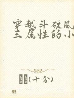 穿越斗破风木火三属性的小说