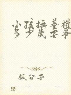 小孩抚养权现在多少岁要争取小孩意见