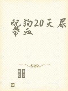 配狗20天尿里带血