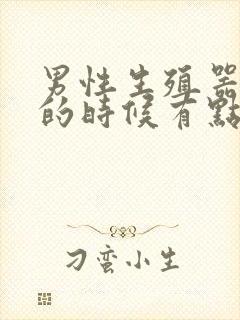 男性生殖器勃起的时候有点弯曲