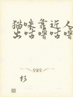 猫咪靠近人就发出咕噜咕噜的声音