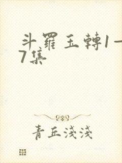 斗罗玉转1—37集