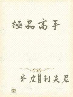 极品高手