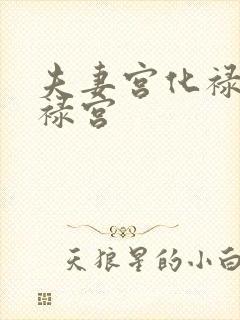 夫妻宫化禄入官禄宫