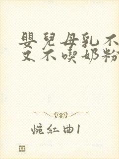 婴儿母乳不够吃又不吃奶粉怎么办