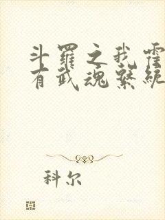 斗罗之我霍雨浩有武魂系统