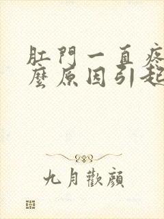 肛门一直疼痛什么原因引起的