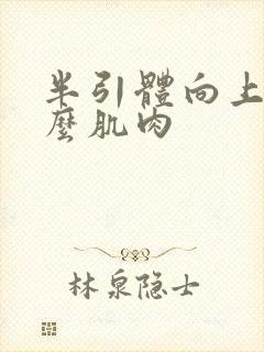 半引体向上练什么肌肉