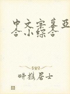 中文字幕亚洲综合小综合