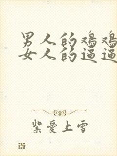 男人的鸡鸡插在女人的逼逼