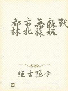 都市无敌战神 林北苏婉