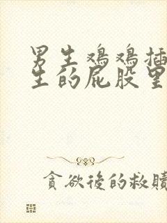 男生鸡鸡插进女生的屁股里