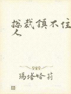 总裁镇不住少夫人封面