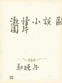 激情小说 欧美图片