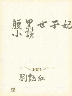 腹黑世子妃日常小说