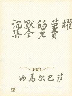 沉默的荣耀36集全免费