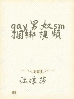 gay男奴sm捆绑视频