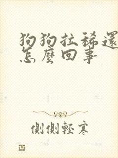 狗狗拉稀还吐了怎么回事