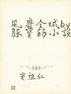 风靡全城by河豚宝的小说免费阅读