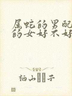 属蛇的男配属羊的女好不好