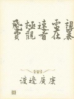 飞极速电视剧免费观看在暴雪时分封面