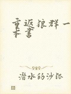 重返狼群一共几本书