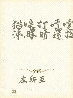 猫咪打喷嚏流鼻涕,眼睛还总有分泌物