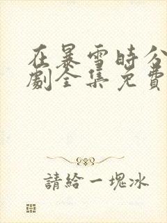 在暴雪时分电视剧全集免费观看封面