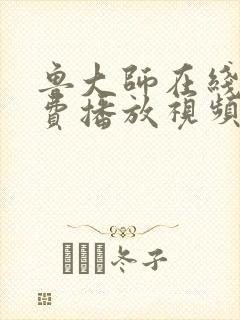 鲁大师在线看免费播放视频电视剧网