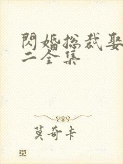 闪婚总裁娶一送二全集