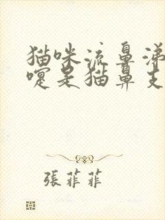 猫咪流鼻涕打喷嚏是猫鼻支吗