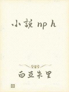 小说 np h