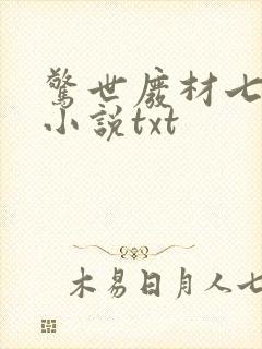 惊世废材七小姐小说txt