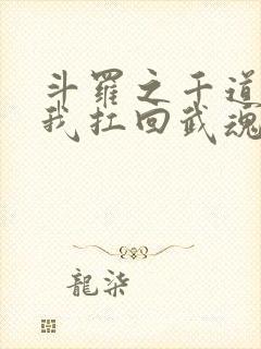 斗罗之千道流把我扛回武魂殿