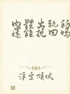 肉体出轨的老公还能挽回吗封面