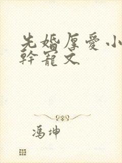 先婚厚爱小说高干宠文