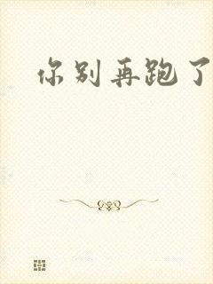 你别再跑了