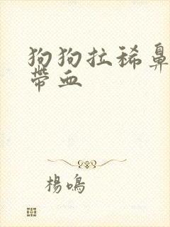 狗狗拉稀鼻涕状带血