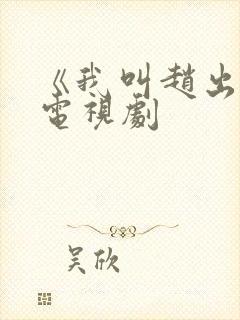 《我叫赵出息》电视剧封面