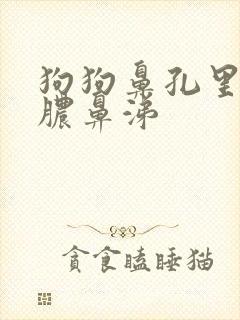 狗狗鼻孔里有黄脓鼻涕