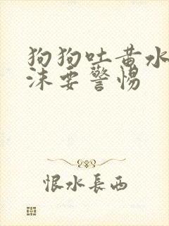 狗狗吐黄水带泡沫要警惕