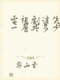 电视剧消失的十一层共多少集